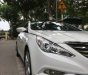 Hyundai Sonata Y20 2010 - Cần bán xe Sonata Y20 đời 2010, màu trắng, nhập khẩu chính hãng