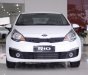 Kia Rio MT 2017 - Bán xe Kia Rio 2017, nhập khẩu, nhiều quà tặng, giá cực ưu đãi, trả góp hỗ trợ 70%