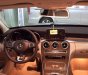 Mercedes-Benz C250   Exclusive 2016 - Bán xe Mercedes C250 Exclusive 2016, mới 100%