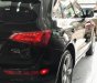 Audi Q5   2.0T 2010 - Cần bán lại xe Audi Q5 2.0T Quattro Premium đời 2010, màu đen, nhập khẩu chính hãng