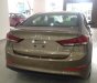 Hyundai Elantra 1.6 MT 2017 - Cần bán Hyundai Elantra 2017 giá tốt, hỗ trợ vay vốn 100%, liên hệ: 01887177000 Ninh Thuận