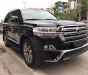 Toyota Land Cruiser 2017 - Bán xe Toyota Land Cruiser VXS 4.6 đời 2017, màu đen, xe nhập