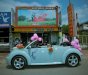 Volkswagen Beetle 2004 - Bán Volkswagen Beetle đời 2004, xe nhập, 540 triệu