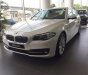 BMW 5 Series 520i 2016 - BMW Đà Nẵng bán xe BMW 5 Series 520i sản xuất 2016, màu trắng, nhập khẩu nguyên chiếc