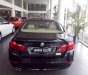 BMW 5 Series 520i 2016 - BMW Đà Nẵng bán xe BMW 5 Series 520i đời 2016, màu đen, nhập khẩu chính hãng, mới 100%