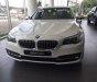 BMW 5 Series 520i 2016 - BMW Đà Nẵng bán xe BMW 5 Series 520i sản xuất 2016, màu trắng, nhập khẩu nguyên chiếc