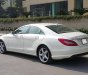 Mercedes-Benz CLS 350 2011 - Bán xe Mercedes Mercedes CLS350 model 2012, màu trắng, nhập khẩu nguyên chiếc