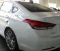 Hyundai Genesis   3.8L G80 2017 - Bán xe Hyundai Genesis 3.8L G80 đời 2017, màu trắng, xe nhập