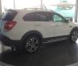 Chevrolet Captiva Revv LTZ 2.4 AT 2017 - Bán Chevrolet Captiva Revv 2017, hỗ trợ vay 100%, có xe giao ngay - Gọi Ms. Lam 0939 19 37 18