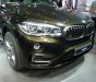 BMW X6 xDrive35i 2016 - Bán ô tô BMW X6 xDrive35i phiên bản 2017, nhập khẩu, màu Sparkling Storm, giá ưu đãi, giao xe sớm