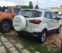 Ford EcoSport     2017 - Cần bán Ford EcoSport năm 2017 giá cạnh tranh
