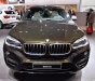 BMW X6 xDrive35i 2016 - Bán ô tô BMW X6 xDrive35i phiên bản 2017, nhập khẩu, màu Sparkling Storm, giá ưu đãi, giao xe sớm