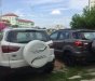 Ford EcoSport     2017 - Cần bán Ford EcoSport năm 2017 giá cạnh tranh