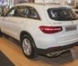 Chrysler 300 2017 - Mercedes GLC 250 - GLC 300 giao ngay, giá tốt nhất miền nam tại Mercedes Trường Chinh