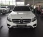 Chrysler 300 2017 - Mercedes GLC 250 - GLC 300 giao ngay, giá tốt nhất miền nam tại Mercedes Trường Chinh