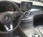 Mercedes-Benz Smart 300 4 Matic 2017 - Đà Nẵng giao ngay GLC 300, giá tốt nhất toàn quốc