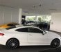 Mercedes-Benz C class  C300 2017 - Bán xe Mercedes C300 Coupe đời 2017 - có xe giao ngay, giá tốt - LH: 0902.342.319