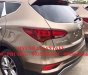 Hyundai Santa Fe 2017 - Bán xe Hyundai Santa Fe sản xuất 2017, màu nâu, nhập khẩu nguyên chiếc