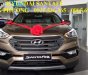 Hyundai Santa Fe 2017 - Bán xe Hyundai Santa Fe sản xuất 2017, màu nâu, nhập khẩu nguyên chiếc