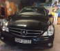 Mercedes-Benz R class  R300  2010 - Bán ô tô Mercedes R300 đời 2010, màu đen, nhập khẩu 