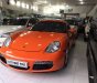 Porsche Cayman 2007 - Bán ô tô Porsche Cayman đời 2007, nhập khẩu