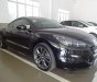 Peugeot RCZ 2016 - Bán xe Peugeot RCZ đời 2016, màu đen, nhập khẩu