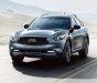 Infiniti QX70 2017 - Bán xe Infiniti QX70 đời 2017, màu xám, xe nhập