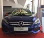Mercedes-Benz C200 2017 - Cần bán Mercedes đời 2017, xe đẹp sang trọng 