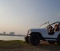 Jeep Wrangler   MT  1975 - Bán Jeep Wrangler MT đời 1975, giá chỉ 145 triệu