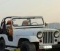 Jeep Wrangler   MT  1975 - Bán Jeep Wrangler MT đời 1975, giá chỉ 145 triệu