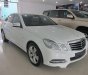 Mercedes-Benz E250 2013 - Cần bán xe Mercedes E250 đời 2013, màu trắng chính chủ