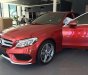 Mercedes-Benz A class A45 AMG 2016 - Bán ô tô Mercedes A45 AMG đời 2016, màu đỏ, xe nhập