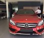 Mercedes-Benz A class A45 AMG 2016 - Bán ô tô Mercedes A45 AMG đời 2016, màu đỏ, xe nhập