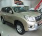Toyota Land Cruiser Prado 2010 - Bán xe Toyota Land Cruiser Prado lốp treo đời 2010, màu vàng, nhập khẩu
