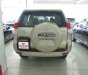 Toyota Land Cruiser Prado 2010 - Bán xe Toyota Land Cruiser Prado lốp treo đời 2010, màu vàng, nhập khẩu