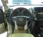 Toyota Land Cruiser Prado 2010 - Bán xe Toyota Land Cruiser Prado lốp treo đời 2010, màu vàng, nhập khẩu