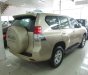 Toyota Land Cruiser Prado 2010 - Bán xe Toyota Land Cruiser Prado lốp treo đời 2010, màu vàng, nhập khẩu