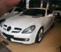 Mercedes-Benz SLK class 200 2010 - Cần bán Mercedes SLK 200 đời 2010, màu trắng đã đi 10000 km