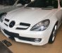 Mercedes-Benz SLK class 200 2010 - Cần bán Mercedes SLK 200 đời 2010, màu trắng đã đi 10000 km