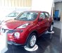 Nissan Juke 1.6L 2017 - Bán Nissan Juke, hỗ trợ sốc, trả góp 80% giá trị xe. Hotline 0975884809