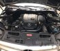 Mercedes-Benz C250   2009 - Bán Mercedes C250 năm 2009, màu xám