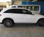 Mercedes-Benz Smart GLC 300 4Matic 2017 - Bán ô tô Mercedes GLC 300 4Matic 2017, màu trắng