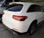Mercedes-Benz Smart GLC 300 4Matic 2017 - Bán ô tô Mercedes GLC 300 4Matic 2017, màu trắng