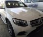 Mercedes-Benz Smart GLC 300 4Matic 2017 - Bán ô tô Mercedes GLC 300 4Matic 2017, màu trắng
