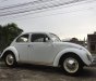 Volkswagen Beetle 1990 - Cần bán xe Volkswagen Beetle đời trước 1990, màu trắng, nhập khẩu nguyên chiếc, giá tốt