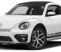 Volkswagen New Beetle Dune 2017 - Con bọ Beetle Dune màu trắng thời trang - Xe Đức nhập khẩu LH Quang Long 0933689294