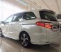 Honda Odyssey 2.4 2016 - Bán xe Honda Odyssey 2.4 đời 2016, màu trắng