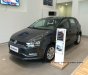 Volkswagen Polo 2017 - Polo Hatchback xe thương hiệu Đức nhập khẩu - LH Quang Long 0933689294