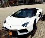 Lamborghini Aventado 2016 - Cần bán Lamborghini đời 2016, màu trắng, nhập khẩu nguyên chiếc