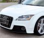 Audi TT S 2009 - Bán xe Audi TT S-line 2009, màu trắng, xe nhập